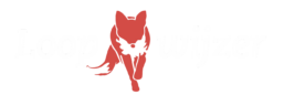Loopwijzer
